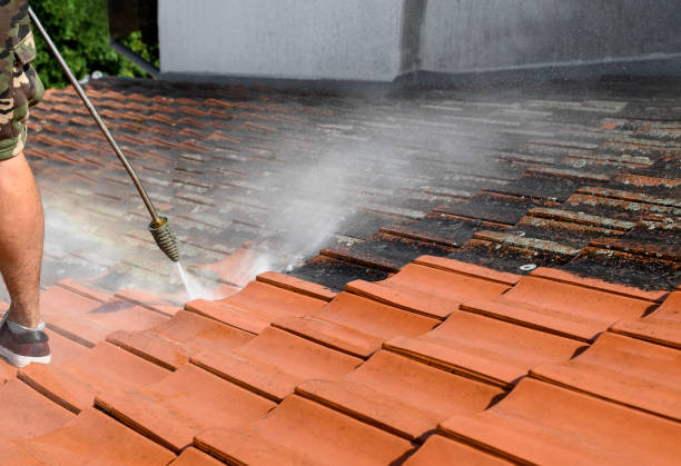 Best Residential Pressure Washing Services  in Conroe, TX