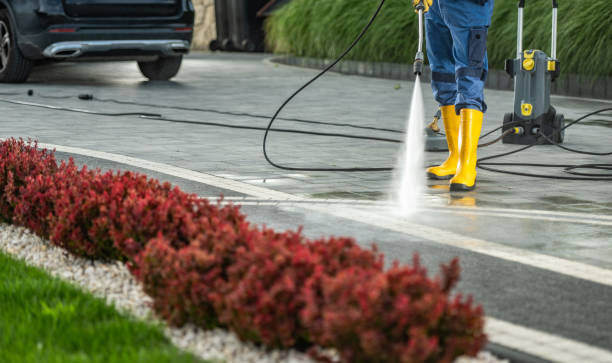 Best Roof Pressure Washing  in Conroe, TX