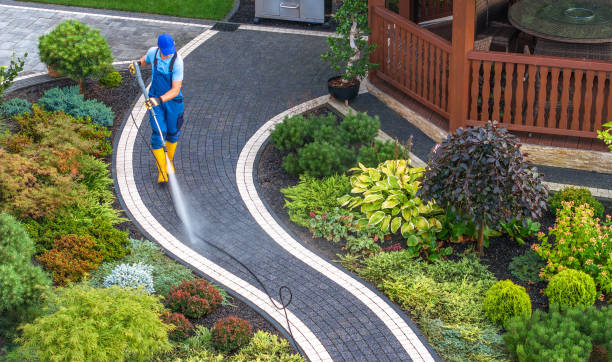 Best Pressure Washing Company Near Me  in Conroe, TX
